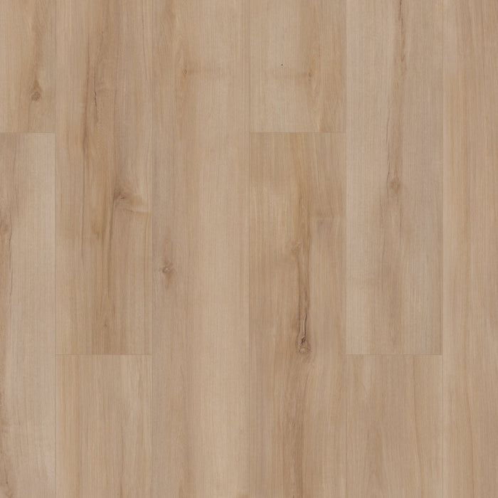 COREtec - Pro Enhanced - VV492 - Lucent Oak - Vinyl Floor Planks