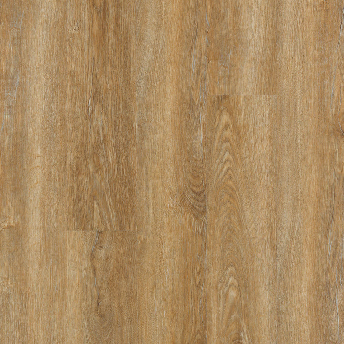 Mohawk - SolidTech Essentials - Discovery Ridge - Richmond Gold - Vinyl Floor Planks