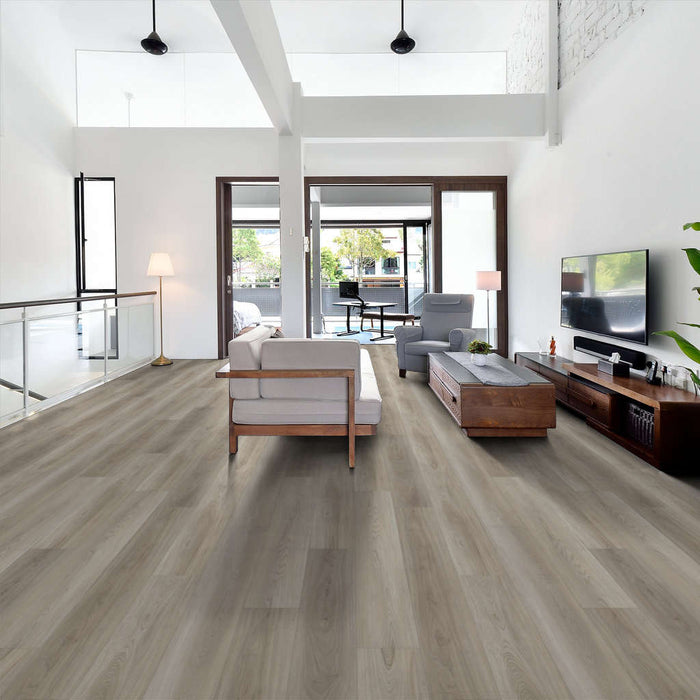 Shaw - 0278V - Paladin Plus - Lighthouse - Vinyl Plank Flooring