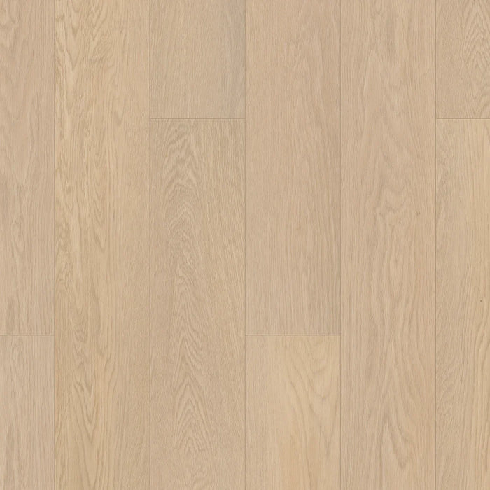 Shaw - 0278V - Paladin Plus - Oceanfront - Vinyl Plank Flooring