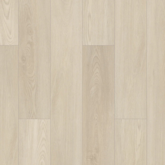 Shaw - 0278V - Paladin Plus - Silver Dollar - Vinyl Plank Flooring