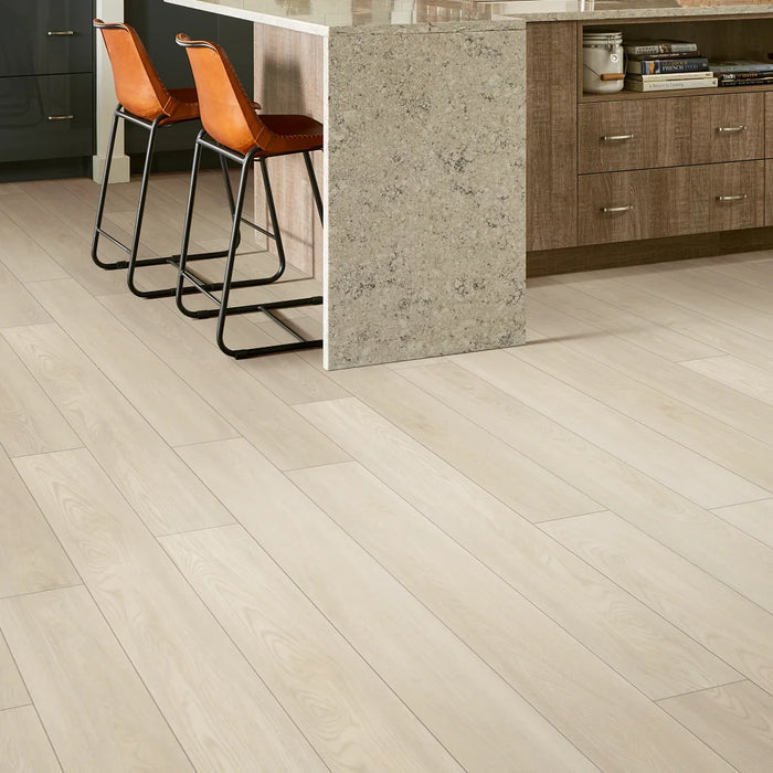 Shaw - 0278V - Paladin Plus - Silver Dollar - Vinyl Plank Flooring