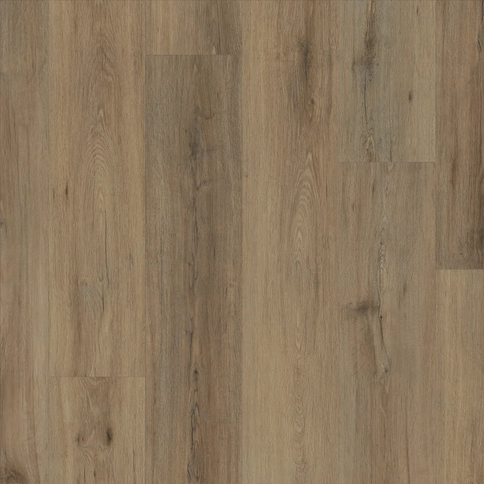 Shaw - 0278V - Paladin Plus - Wild Dunes - Vinyl Plank Flooring